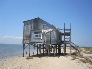 wachapreague-island-first-abandoned-house[1]